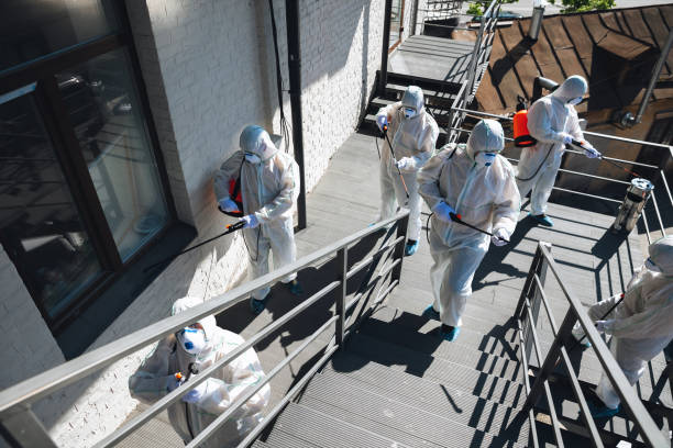 Best Air Quality Testing for Mold Spores  in Weston Mills, NY